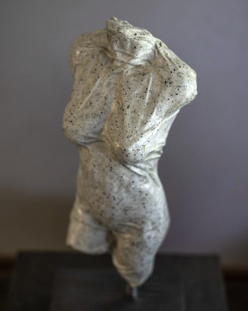 Covered Torso