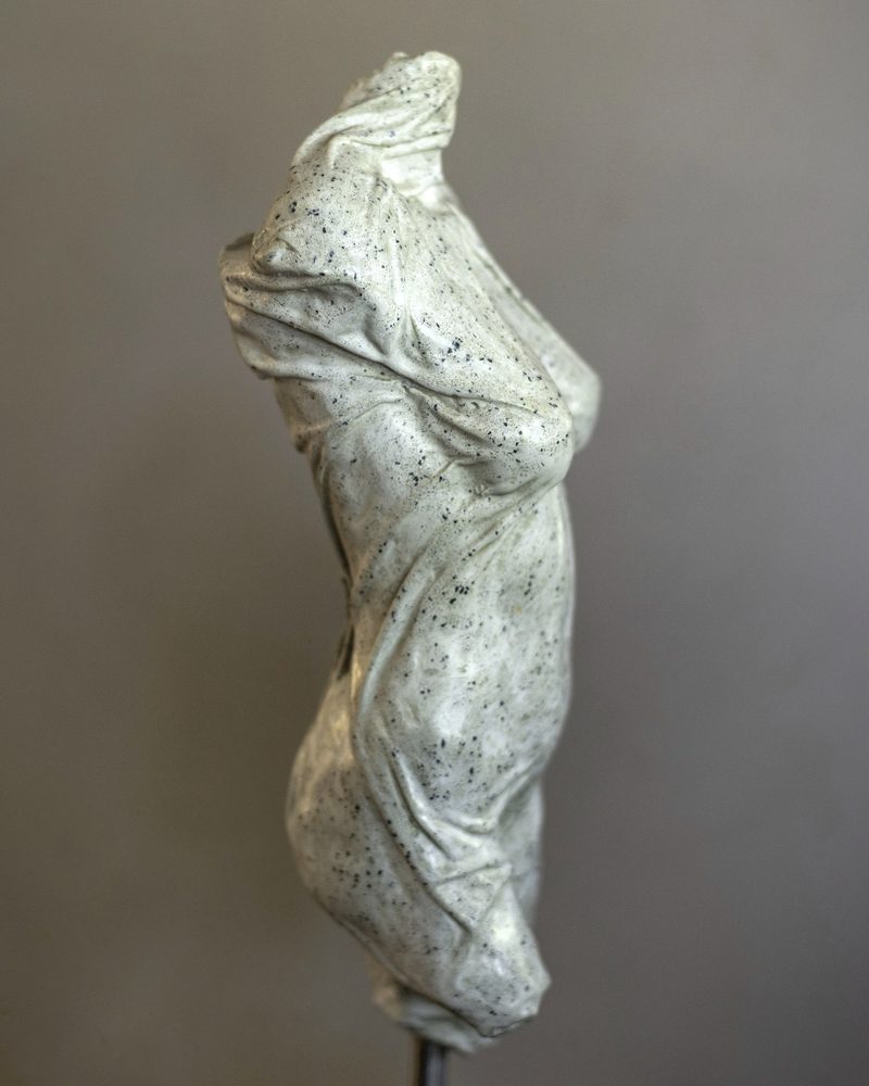 Covered Torso
