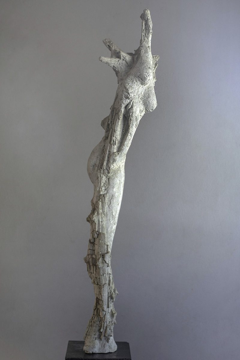 Fallen Angel