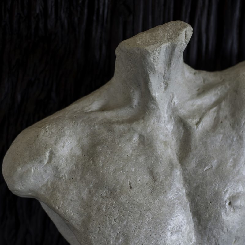 Male Fragment