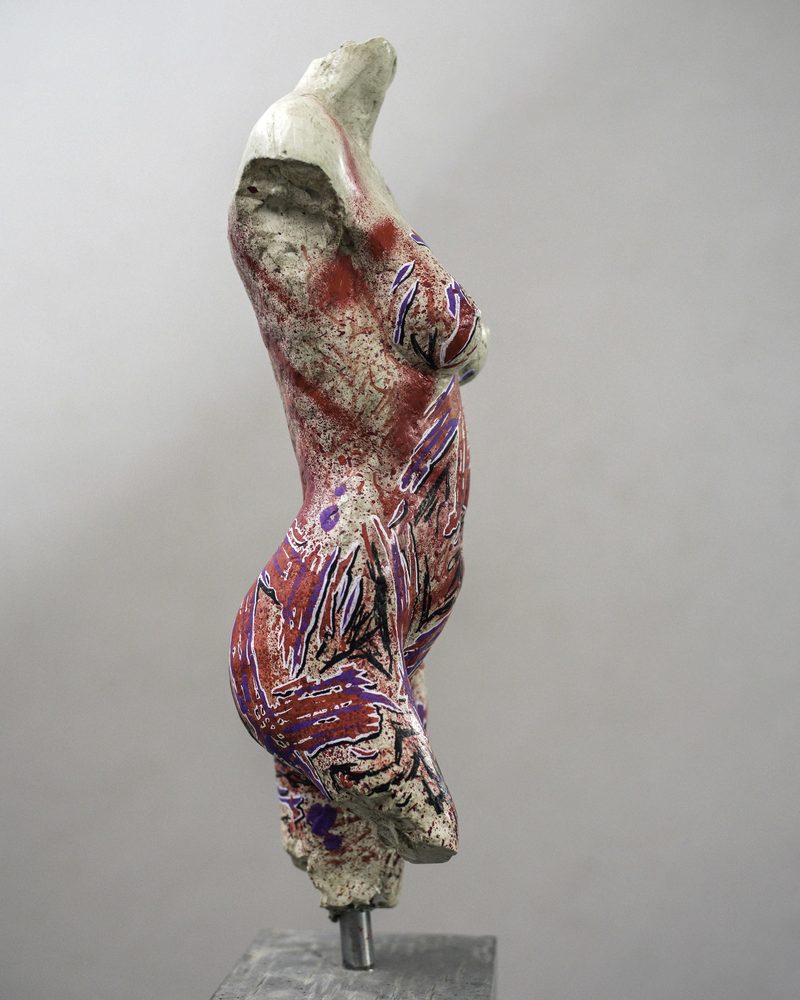 Reinvented Female Torso