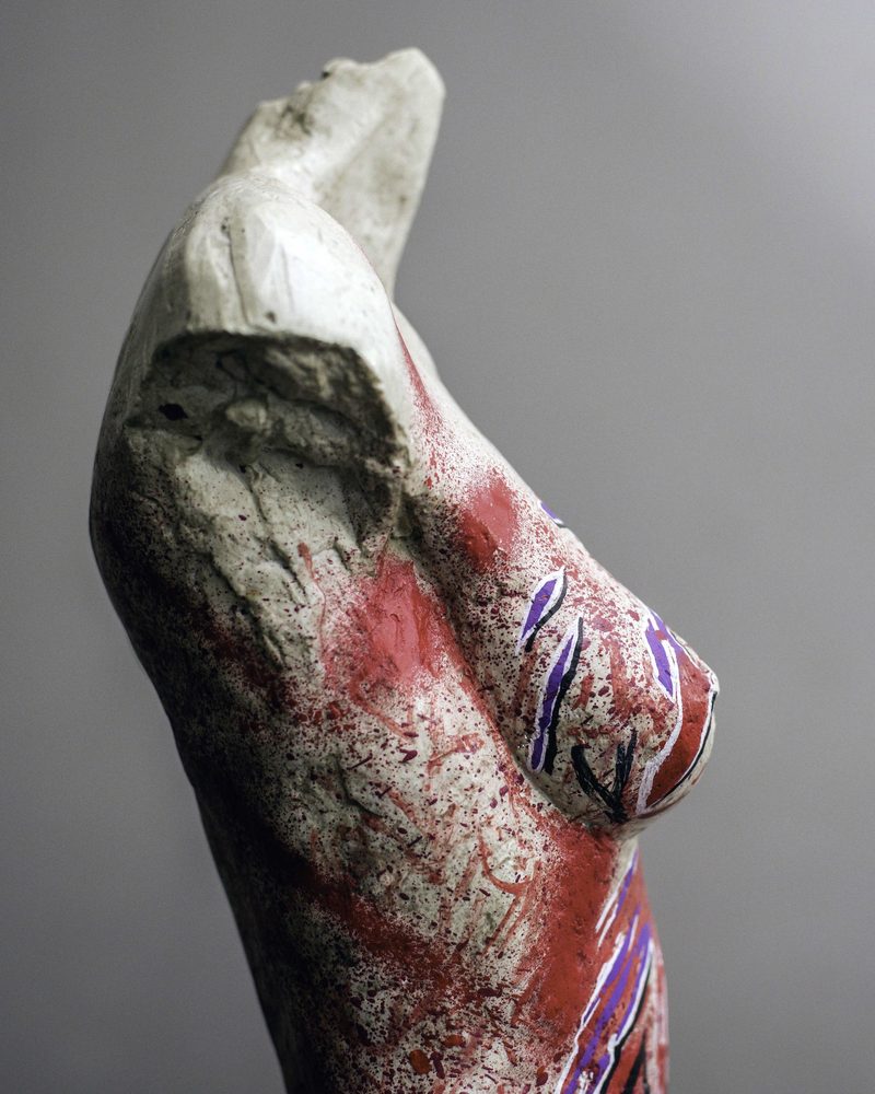 Reinvented Female Torso